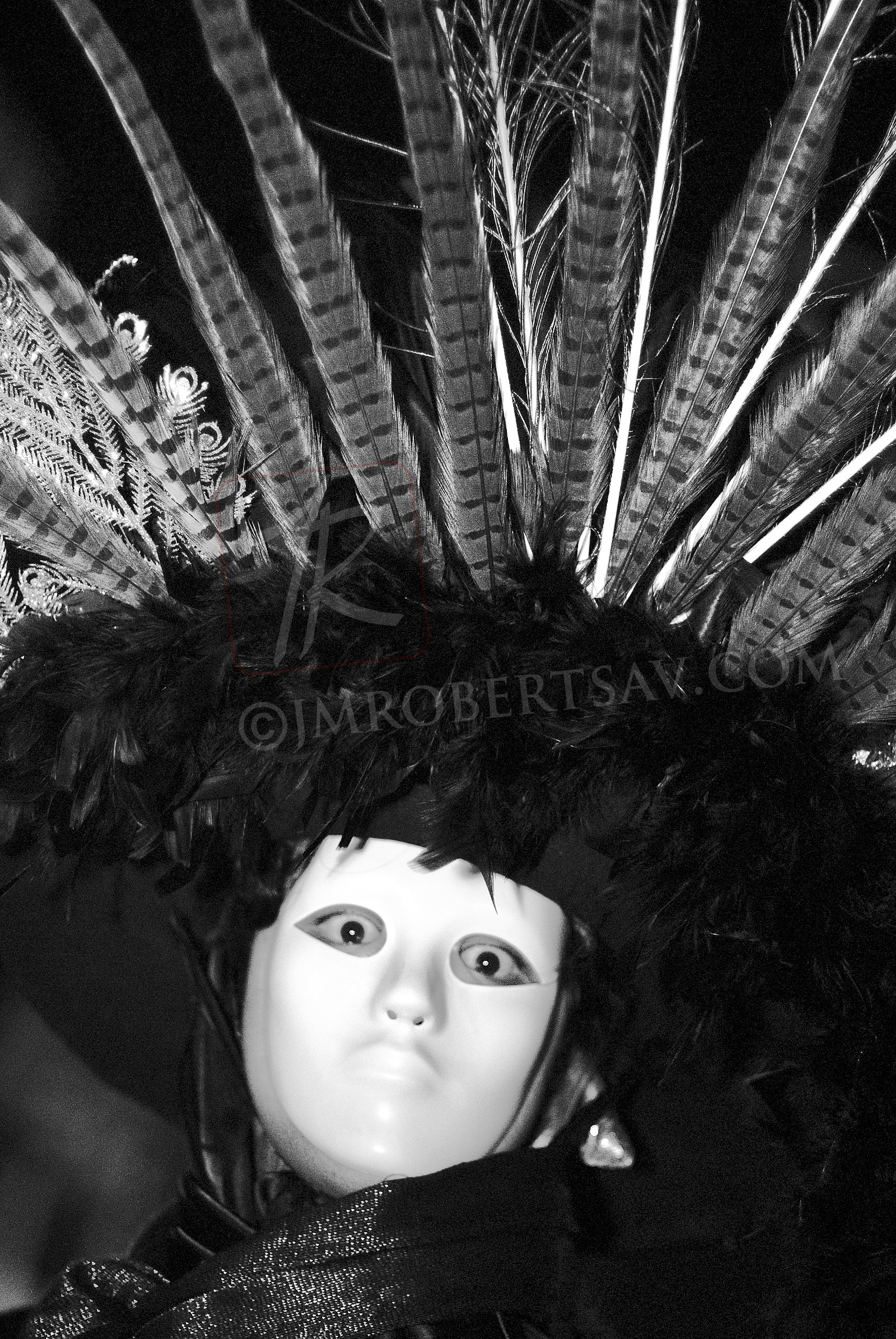 _DSC0849bw