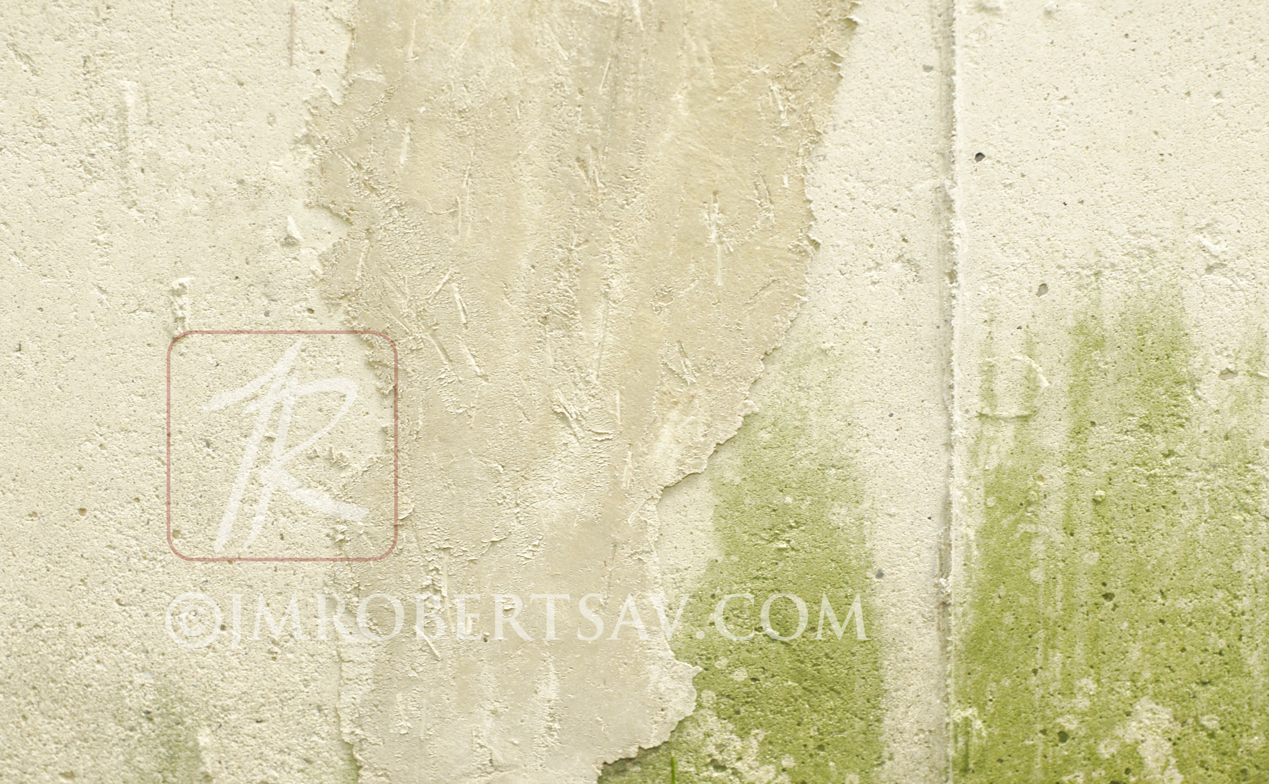 _DSC0244 without GM crop